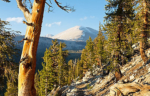 The 5 Best Day Hikes Along the Pacific Crest Trail