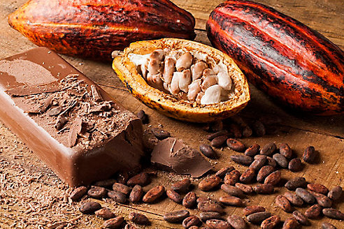My Day With a Mayan Chocolate Master in Belize