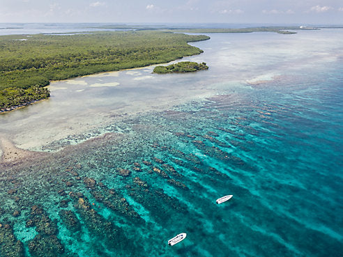 The Thrill of Bonefishing in Belize