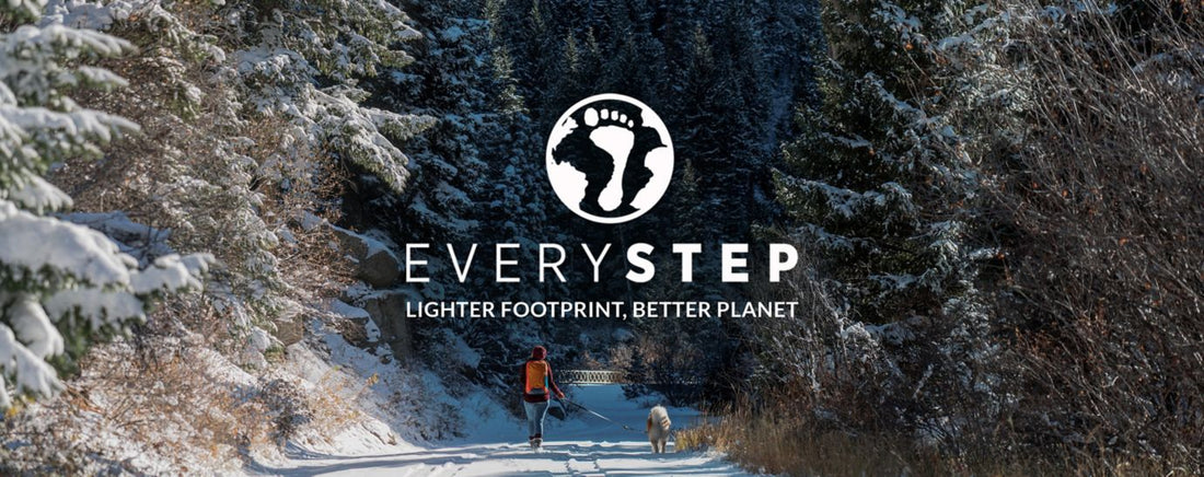 everystep image