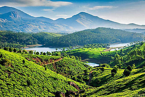 Off the Beaten Path: Trekking in South India