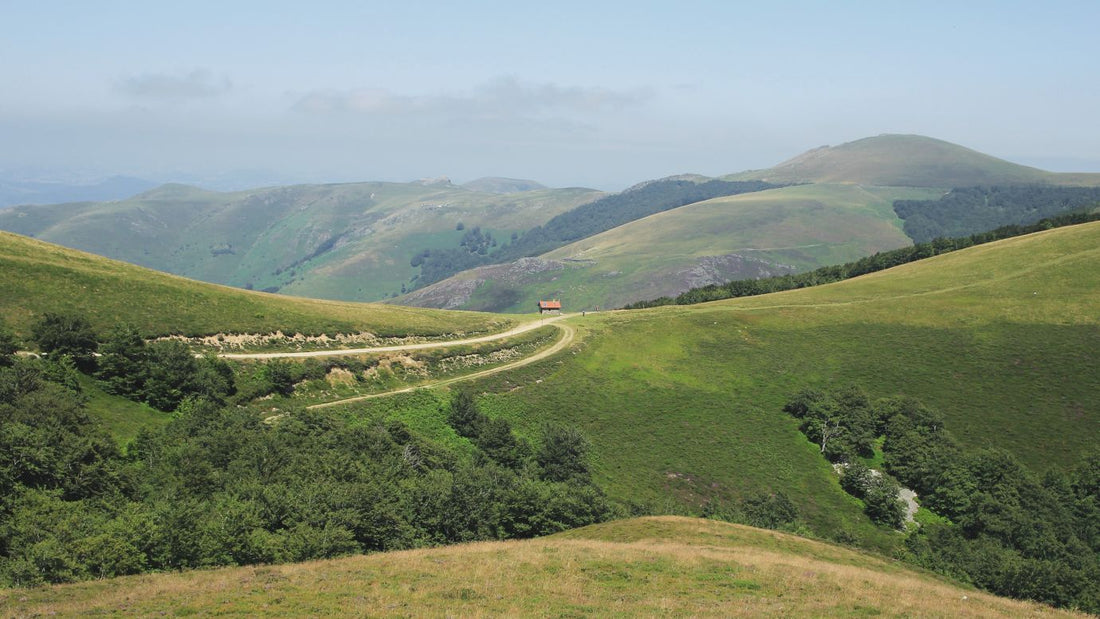 camino packing list
