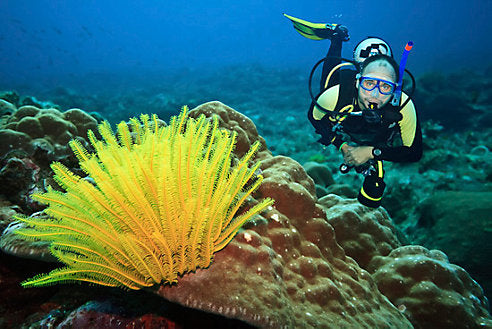 Cheapest Scuba Diving Destinations