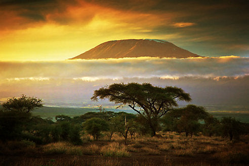 Climbing Kilimanjaro: How to Plan and What to Pack