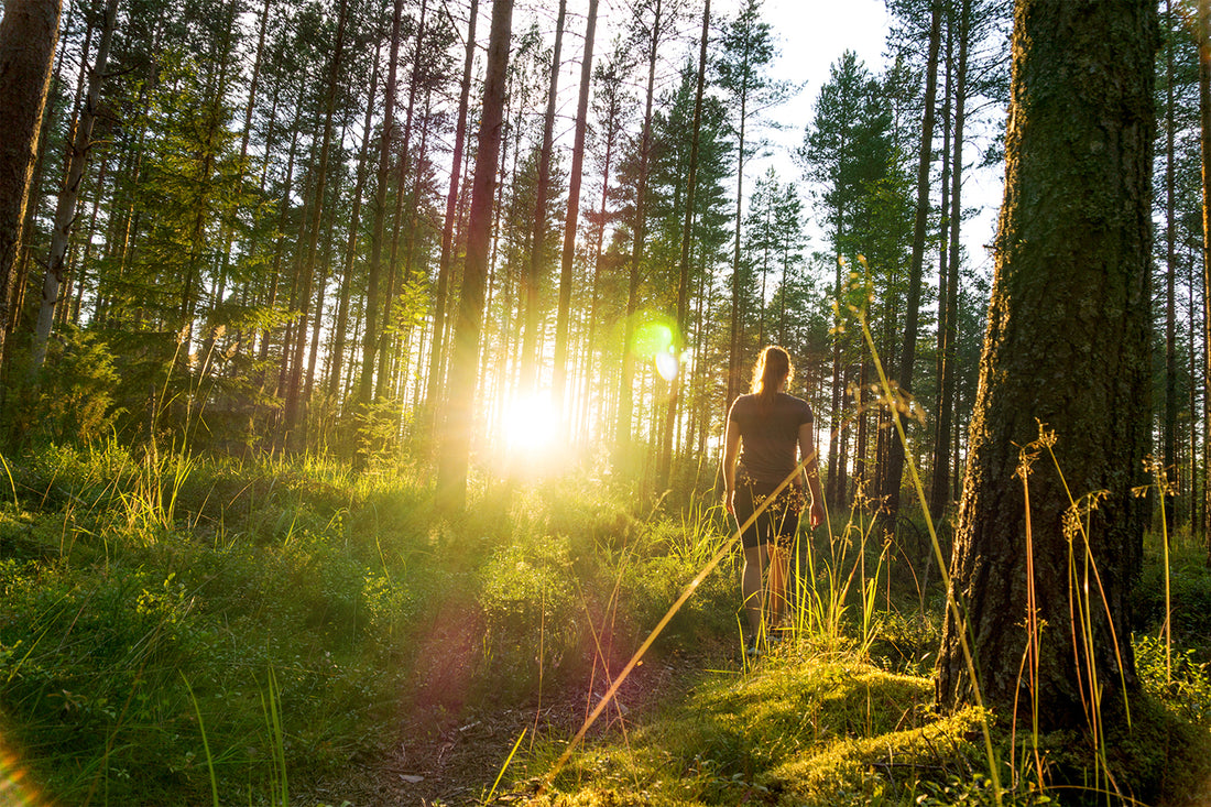 What Is Forest Bathing & Where Can You Do It?