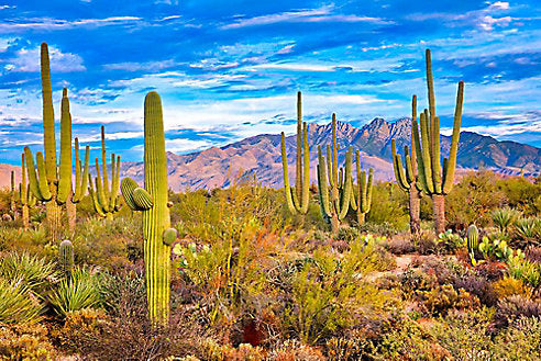 How to Have an Epic Solo Adventure in Arizona