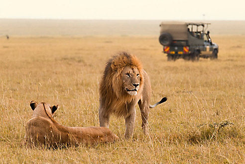 How to Prepare for an African Safari