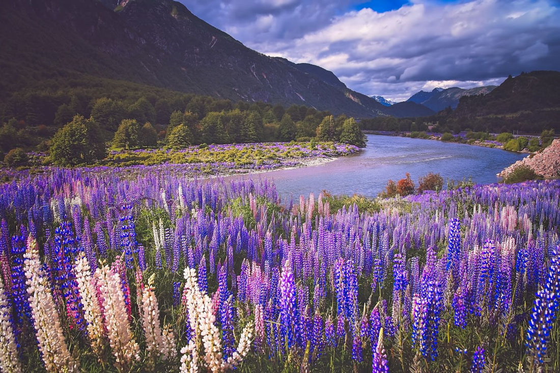 patagonia river