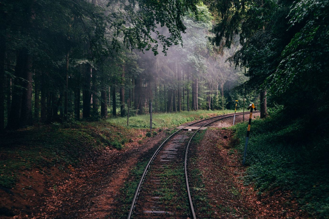 old train tracks surrounded by fall foliage
