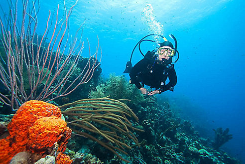 Winter in the Caribbean Part One: 5 Caribbean Islands That Offer an Active Escape