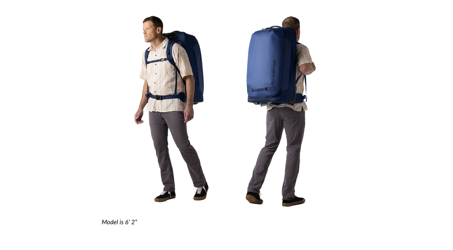 Pegasus convertible wheeled backpack hot sale